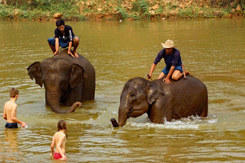 Kinder baden mit Elefanten