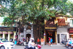 Geschäftsfassaden Altstadt Hanoi