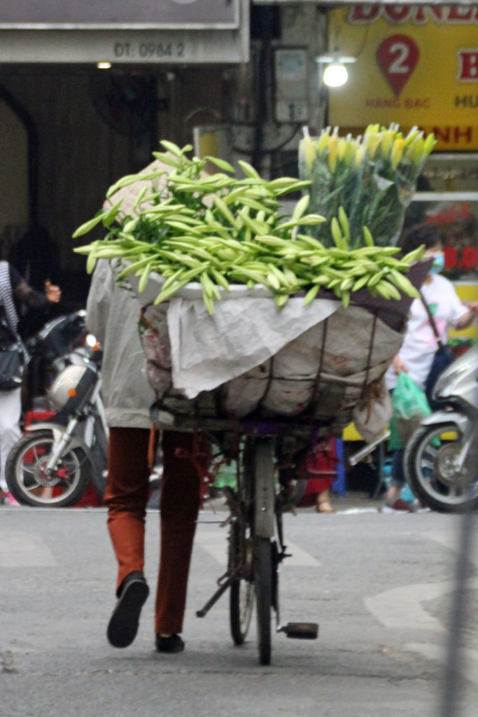 Strassenszene Hanoi Vietnam Blumenhändler auf Rad