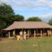 Olakira Migration Camp Serengeti