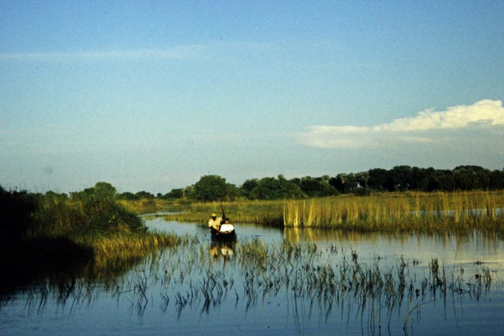Kanufahrt im Okavango Delta