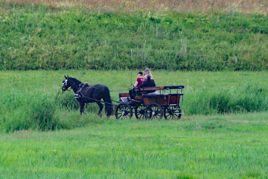 Kutschfahrt Ahrenshoop