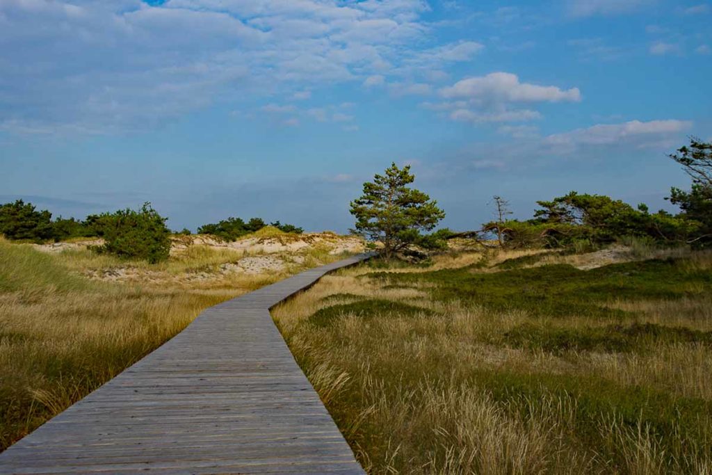 Wege im Naturschutzgebiet
