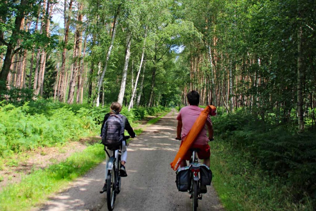 Fahrradfahren im Darßer Wald
