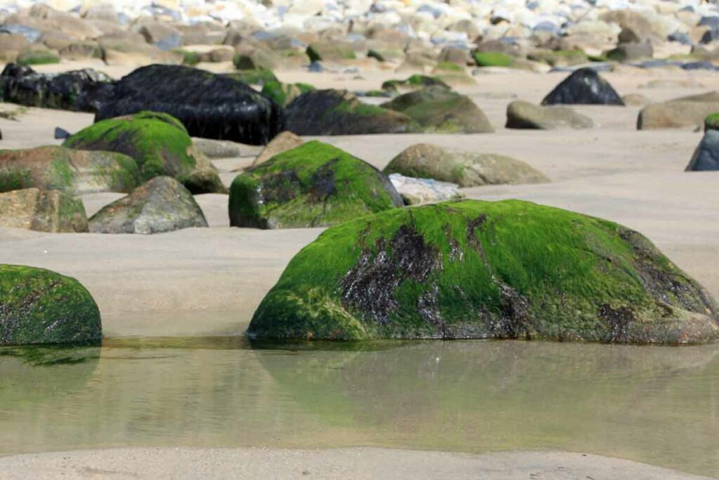 Steine in Praa Sands