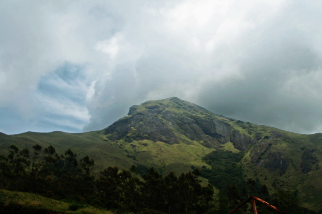 Eravikulam National PArk