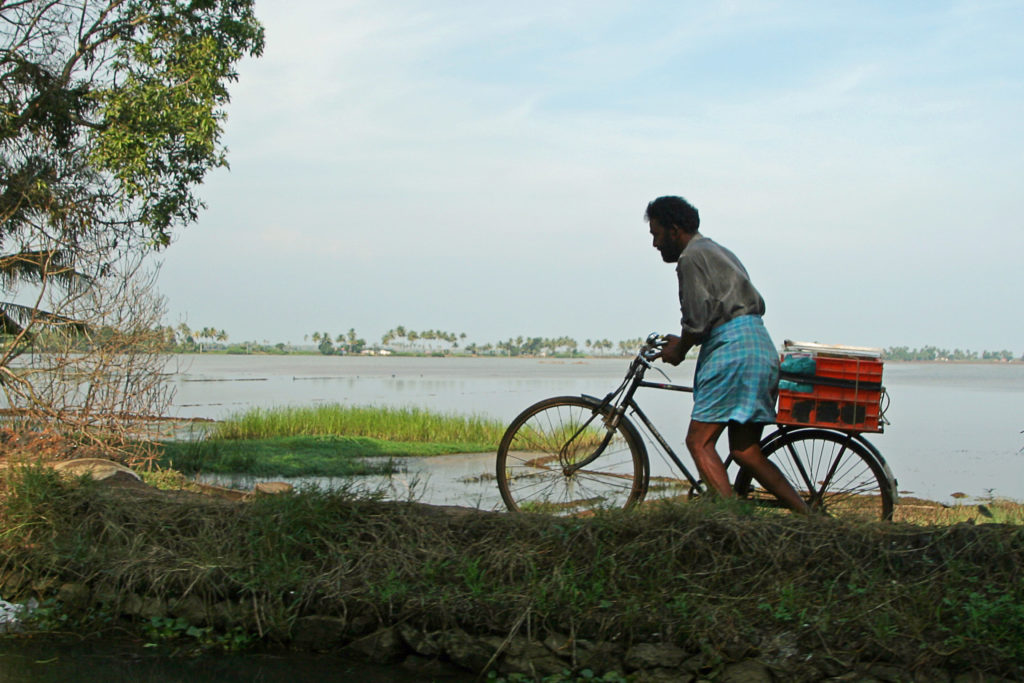 Backwater Kerala Indien