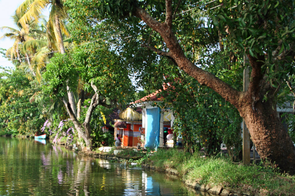 BAckwaters Kerala Indien