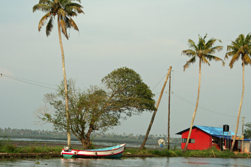 Backwaters Boot mit Palmen