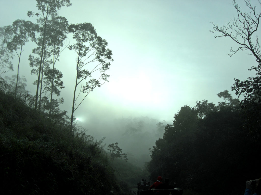 Periyar Nationalpark