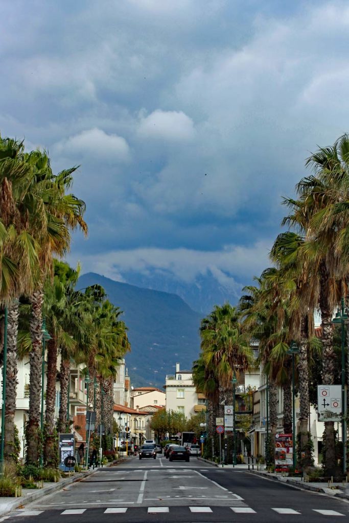 Palmenallee Forte dei Marmi