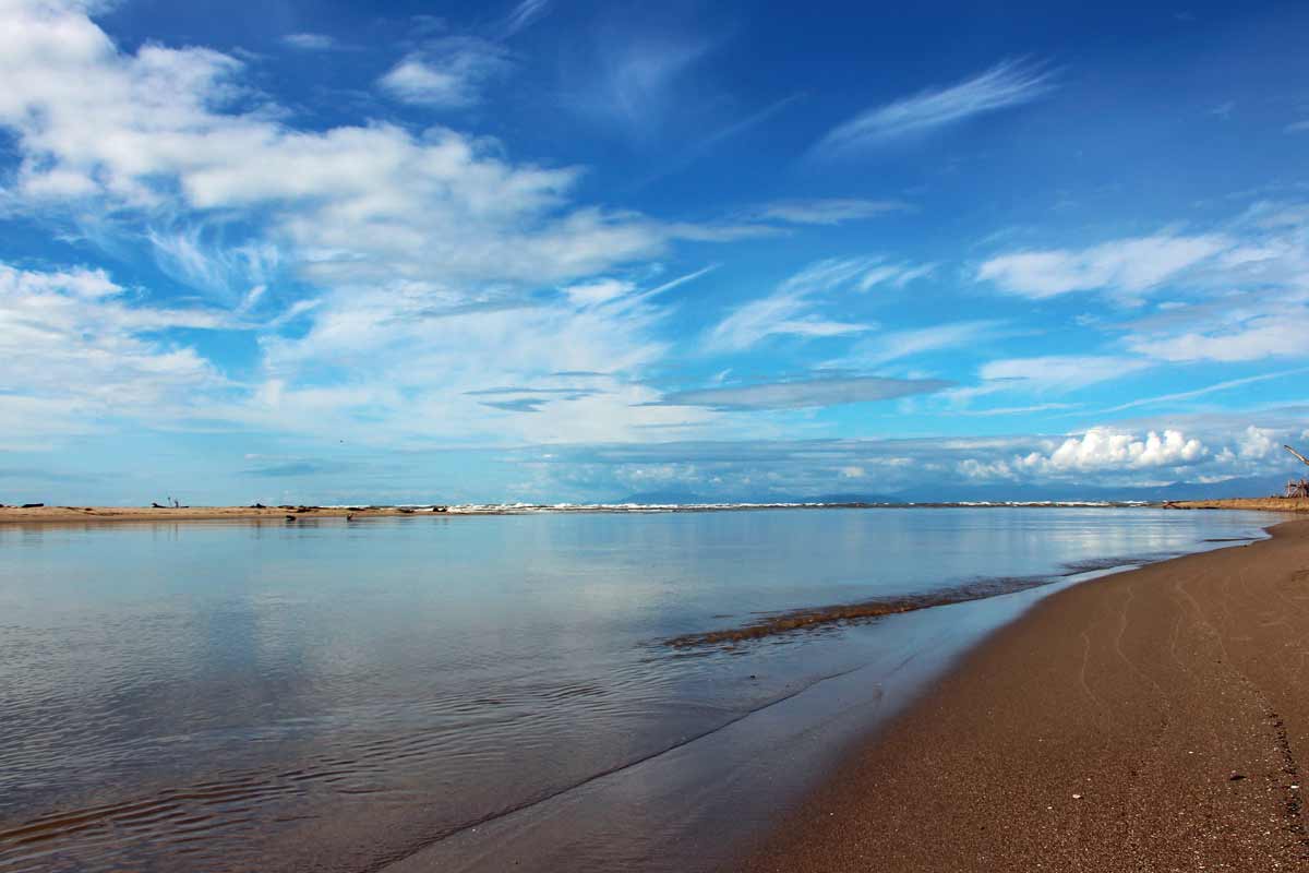 MAcchia di Migliarino Versilia