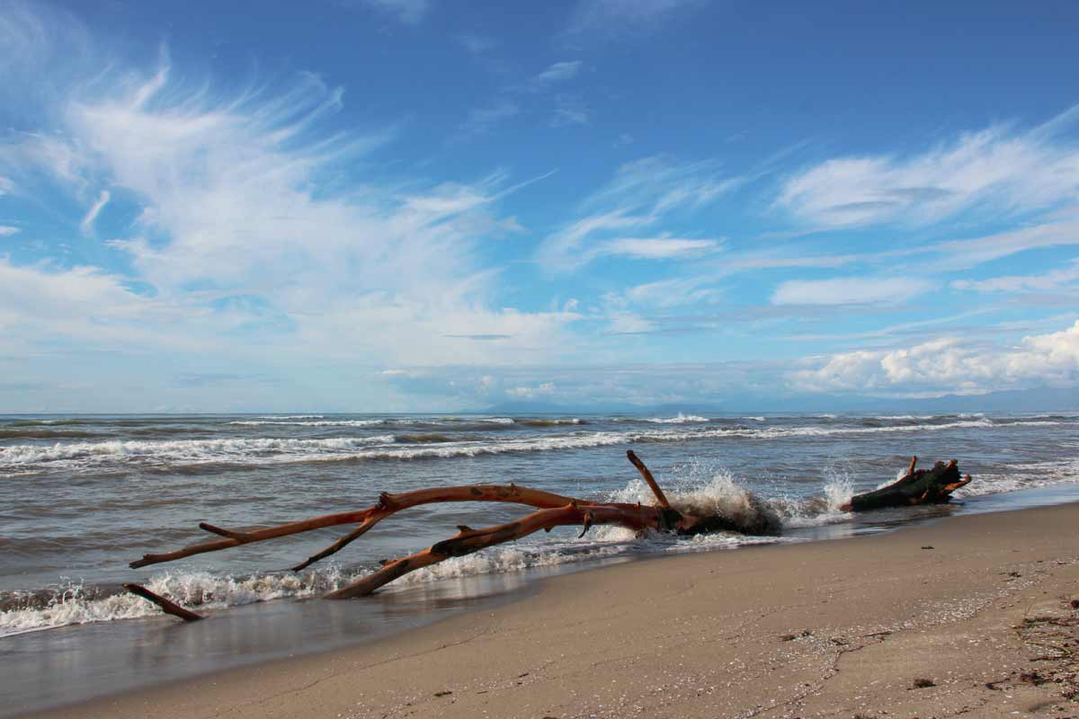 Magliariono Versilia