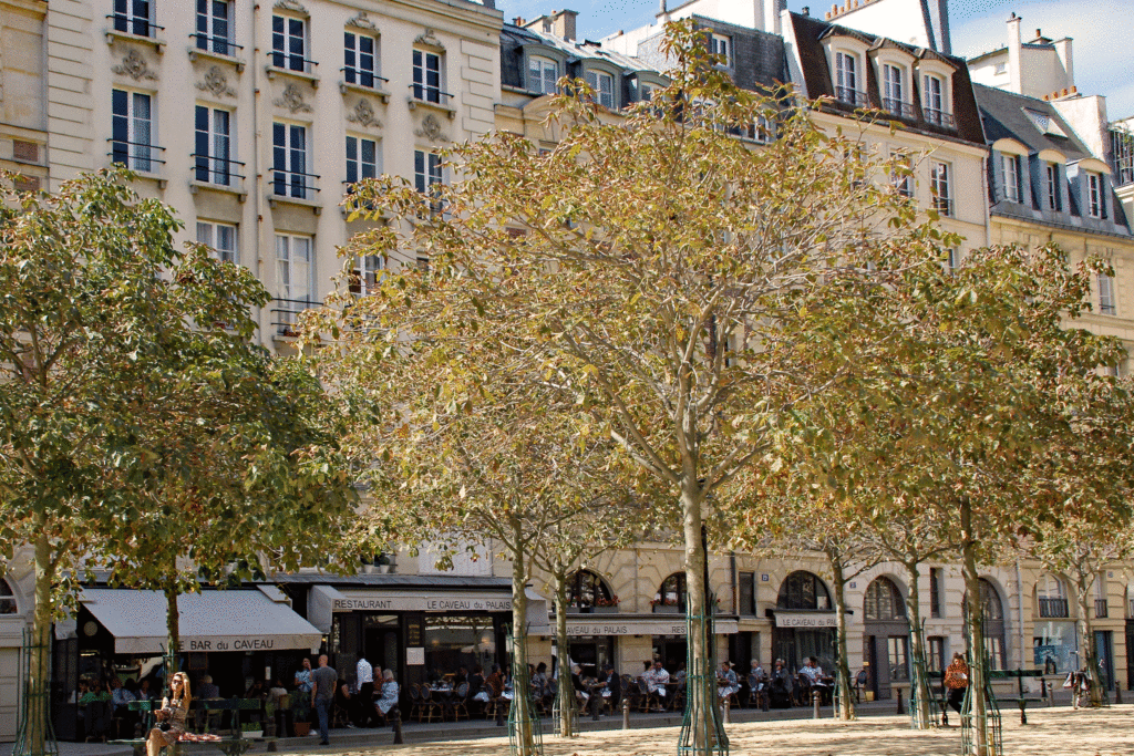 Paris Plätze Place Dauphine