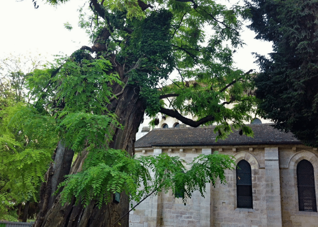 Square Rene Viviane PAris
