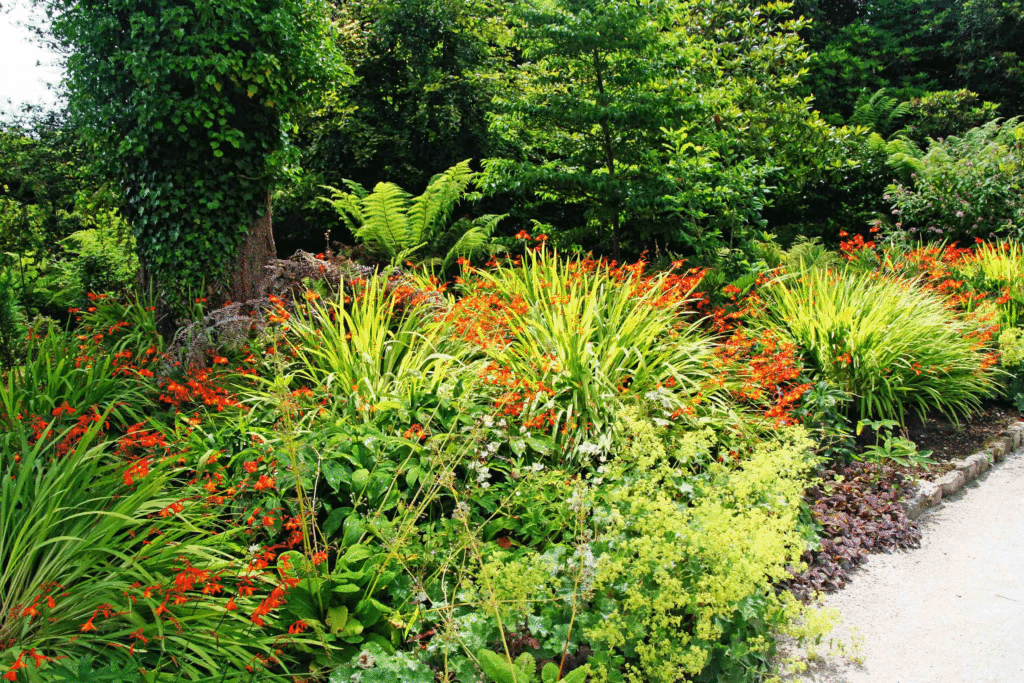 Blühende Rabatte Lost Gardens of Heligan