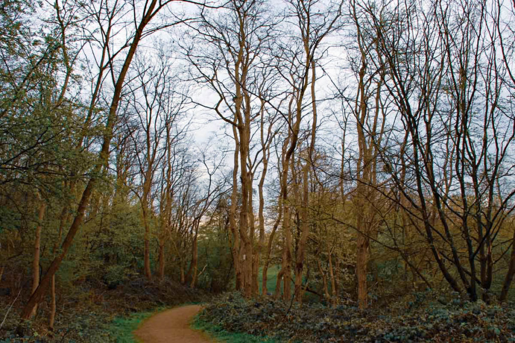 Weg um den Silbersee