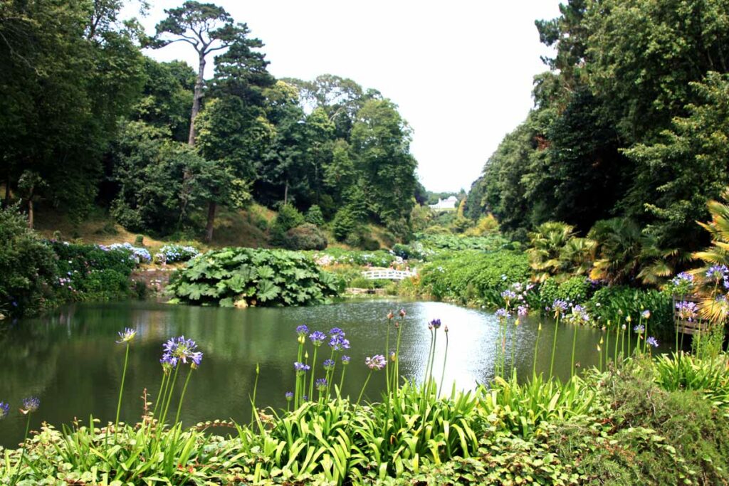 Trebah Garden