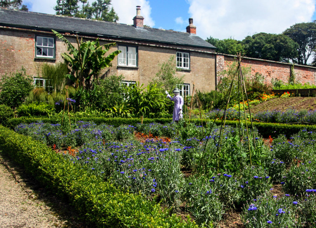 Küchengarten von Tregwaintons