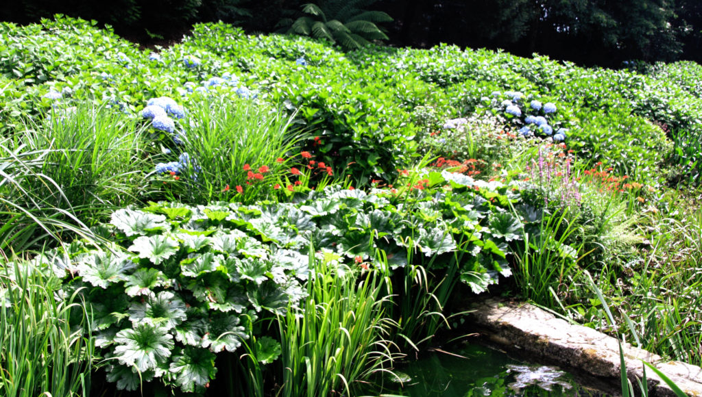 Trebah Garden Ansicht