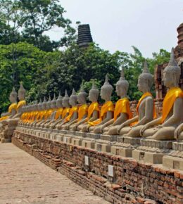 Thailand Ayutthaya Buddas
