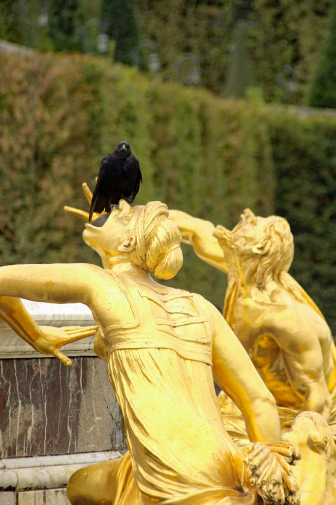 Detail Latona Brunnen versaille