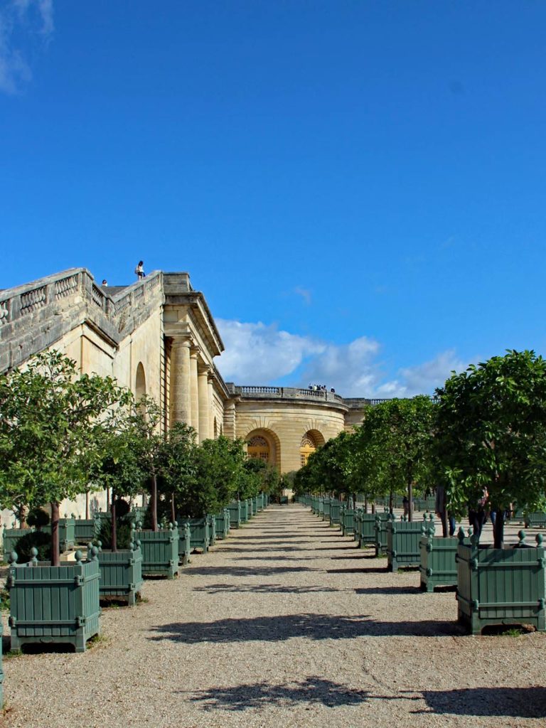 Baumreihen in der Orangerie