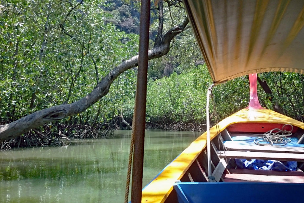Mangroven in der Phang Nga Bucht