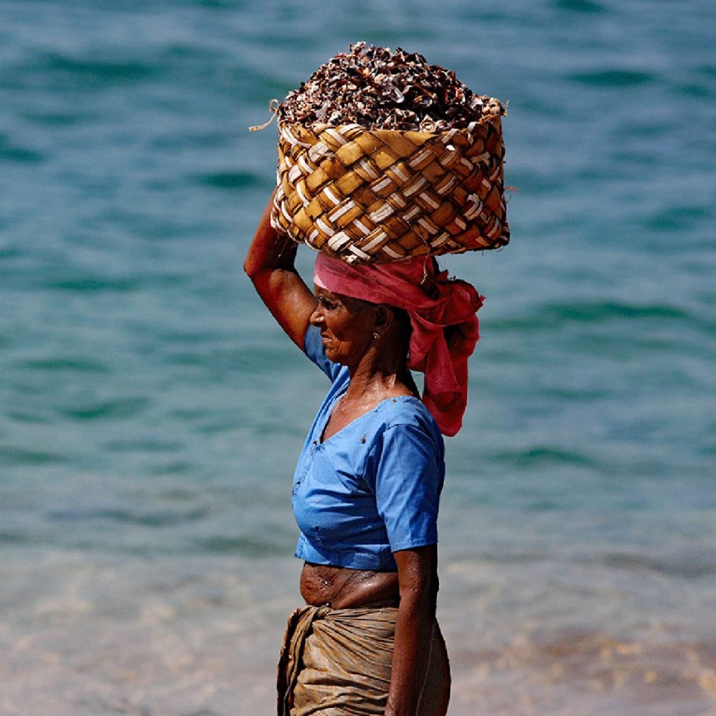 Indische Fischerin in Kovalam Kerala