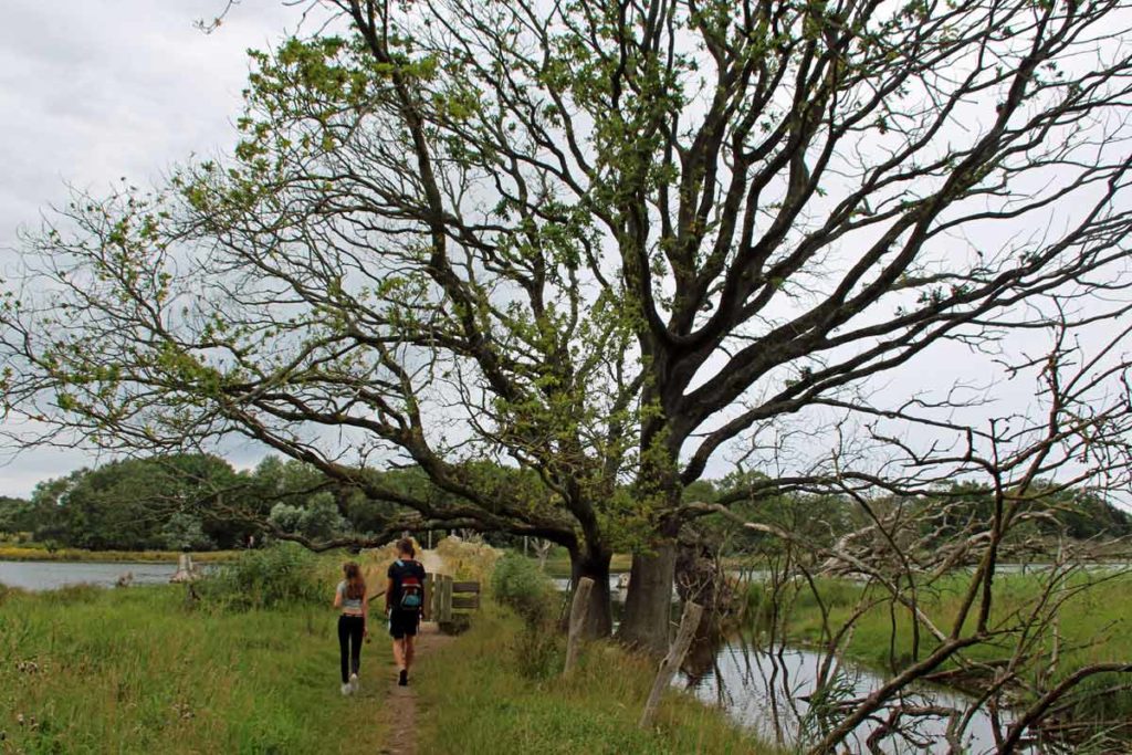 wandern Geltinger Birk