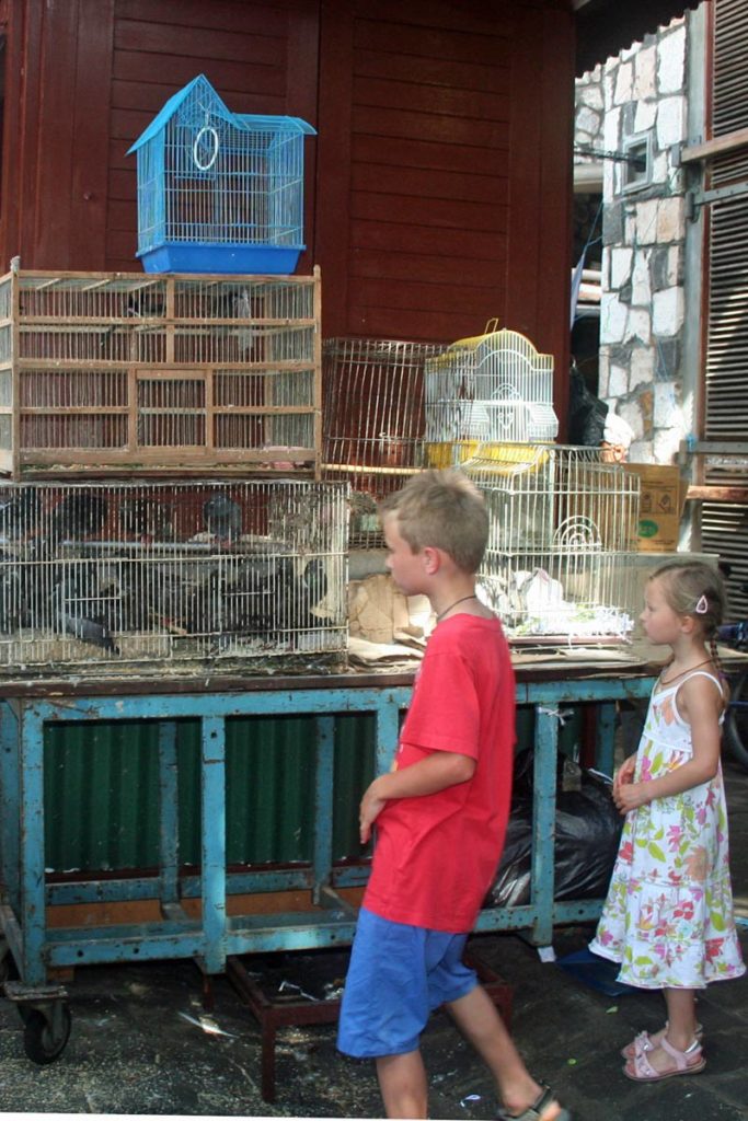 Vogelkäfige im Zentralmarkt Port Louis