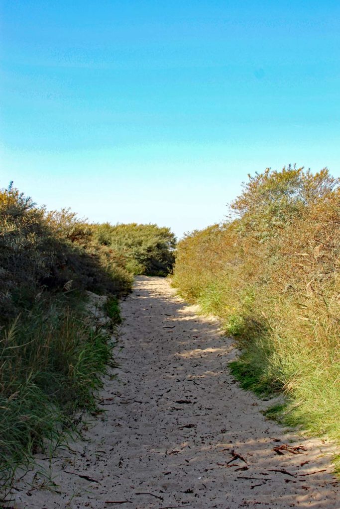 Dünenweg zum Meer
