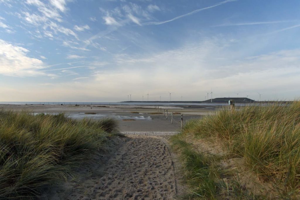 Strand Oostvoorne