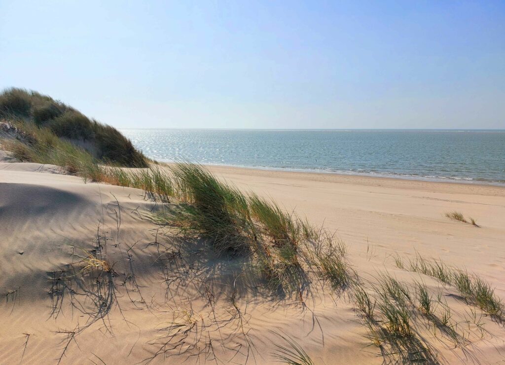 Strand mit Dünengras