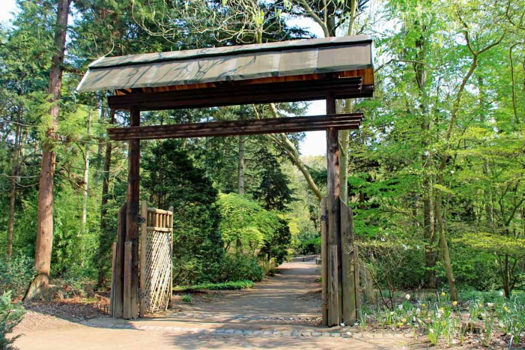 Tori Tor Forstbotanischer Garten Köln