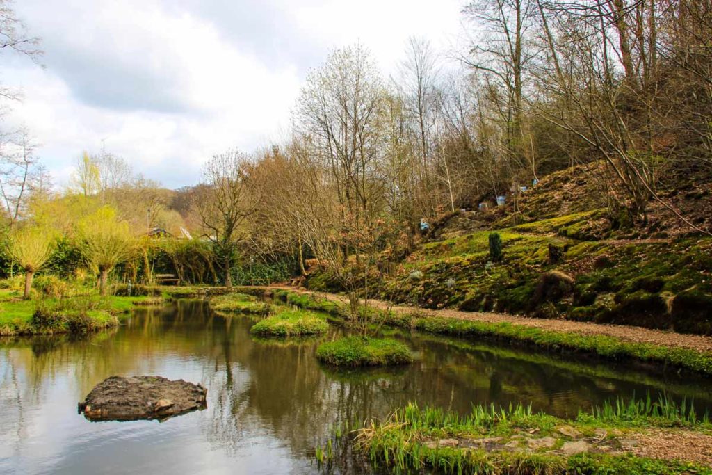 Panoram Blick auf den Sinneswald Leichlingen