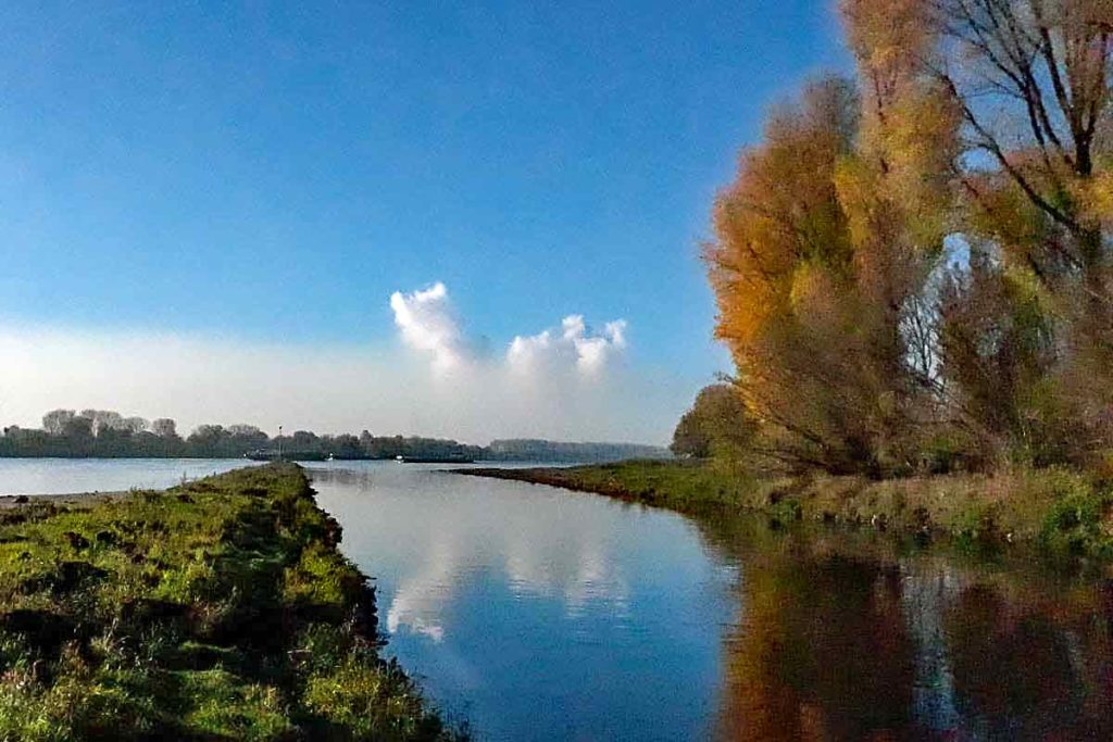 Altrheinarm bei Leverkusen