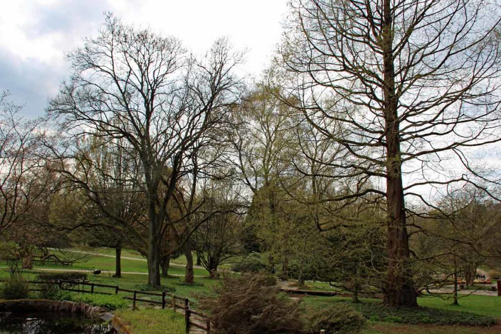 Solingen Bot. Garten