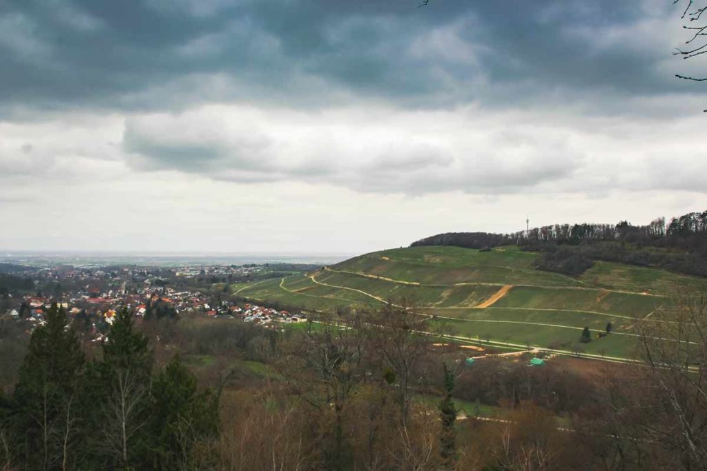 Ausblick in die Rheinebene