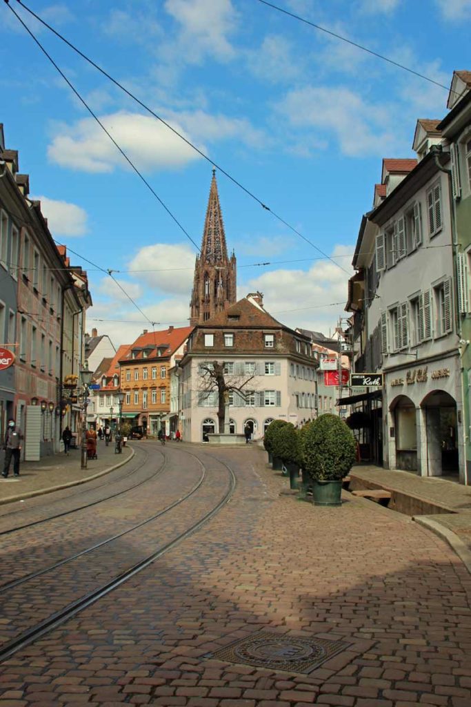 Blick aufs Münster Freiburg