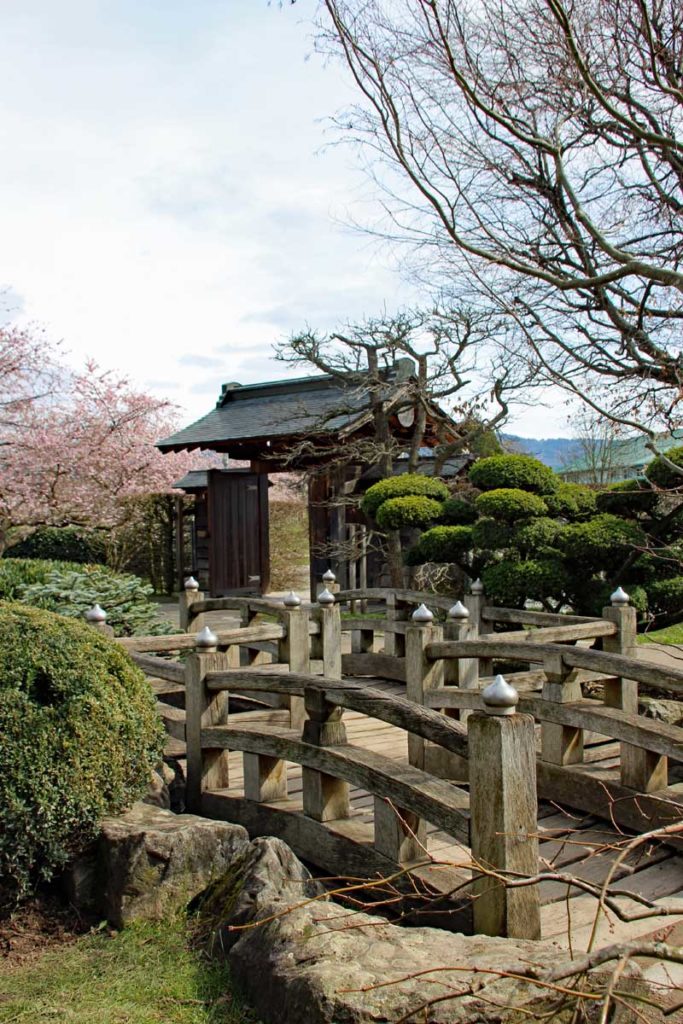 Japanischer GArten Freiburg