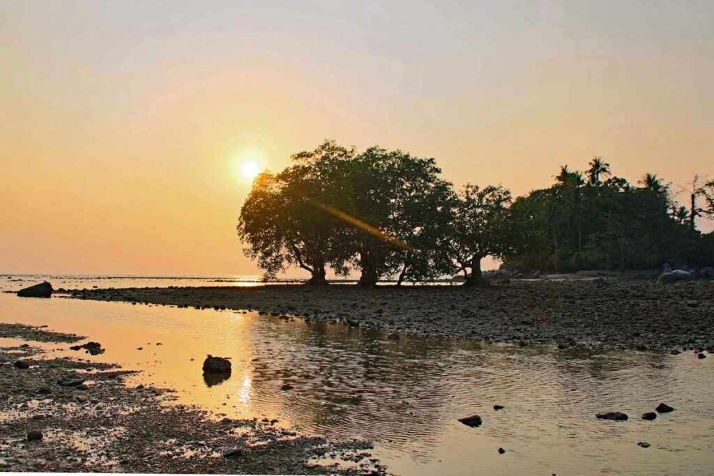 Mangroven Nai Yang Beach