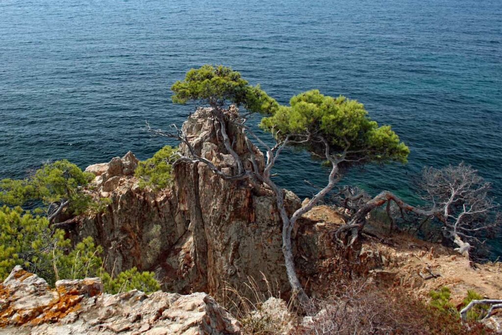 Sentier Littoral Var