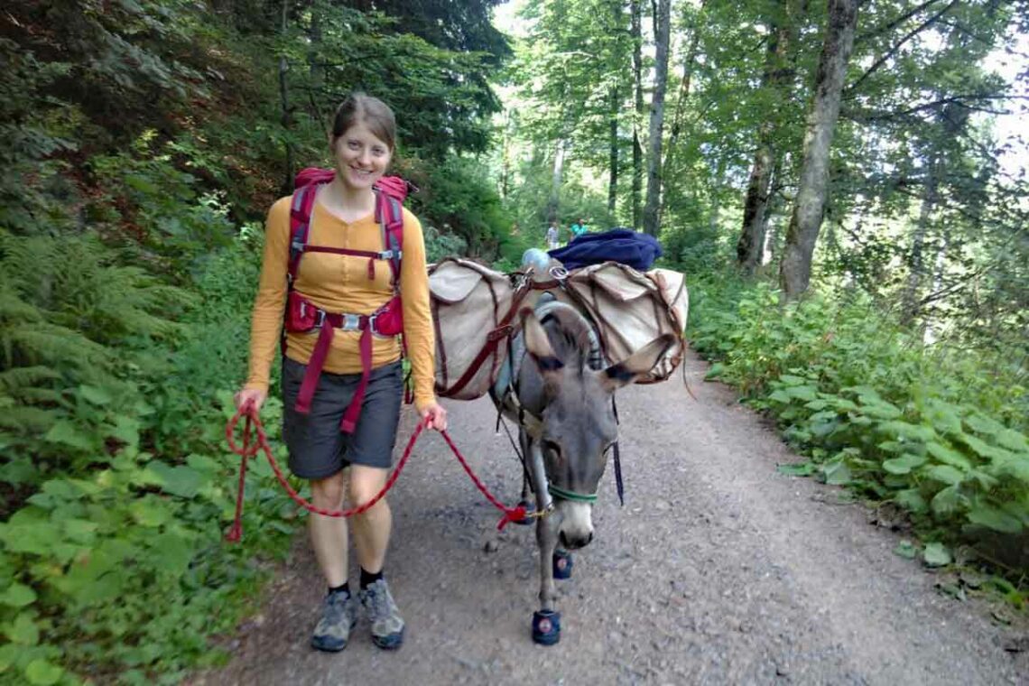 Eselwanderung Schwarzwald