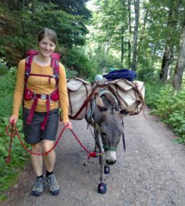Eselwanderung Schwarzwald