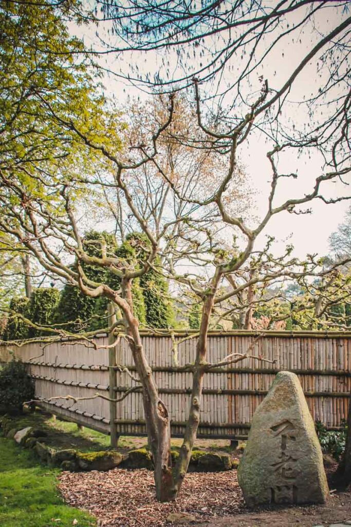 Eingang Japan Deutschland Bonn Jap. Garten