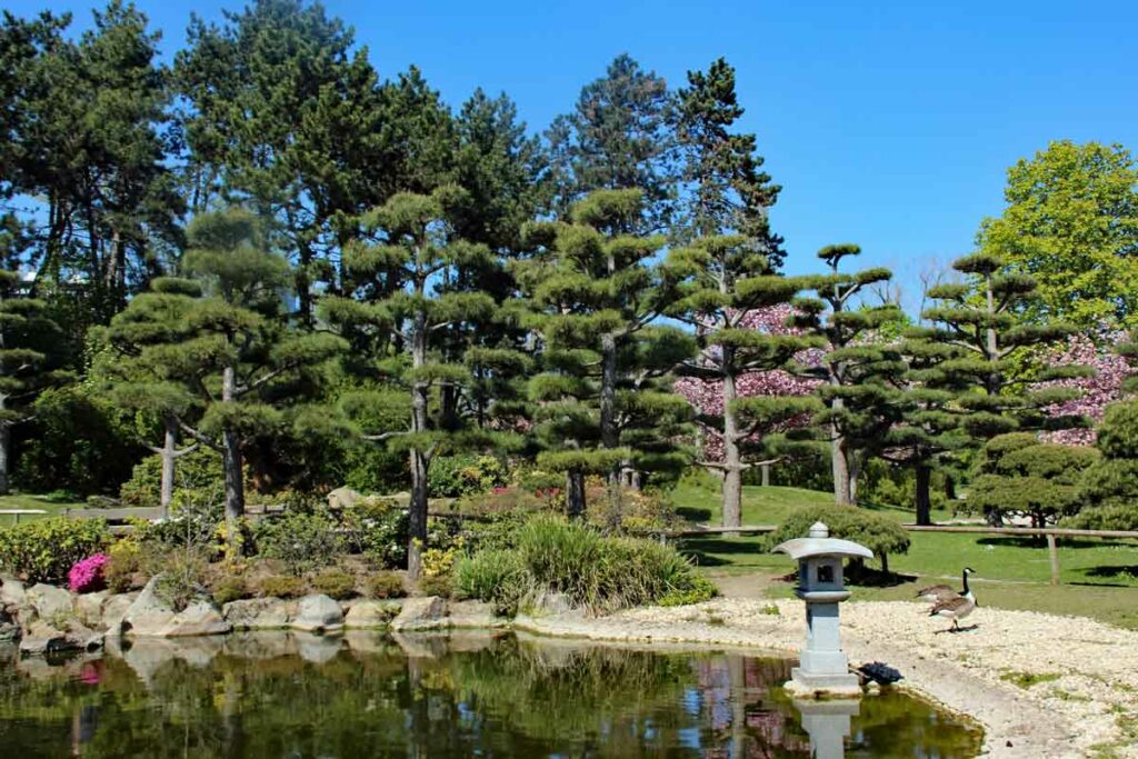 Nordpark Düsseldorf Jap.Garten