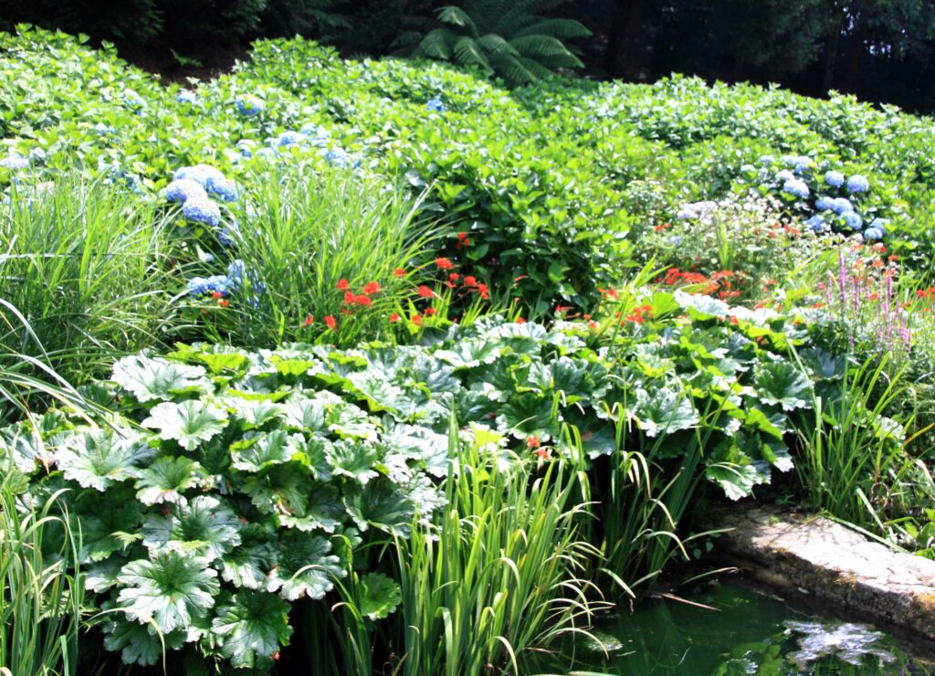 Gartenansicht Cornwall
