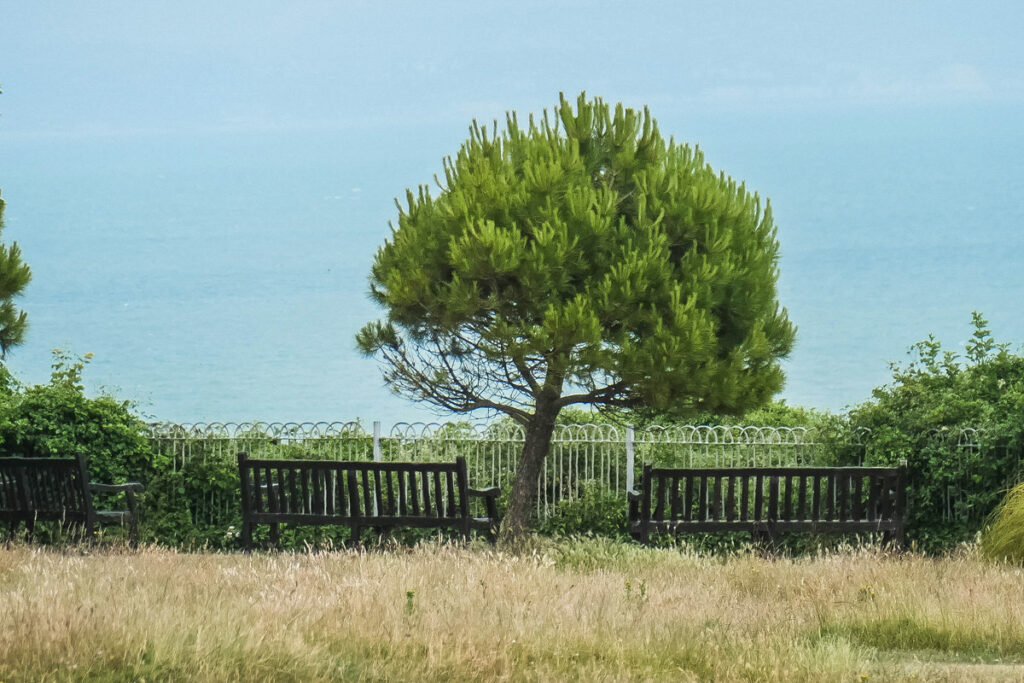 Blick von Helens Garden auf den Kanal Eastbourne