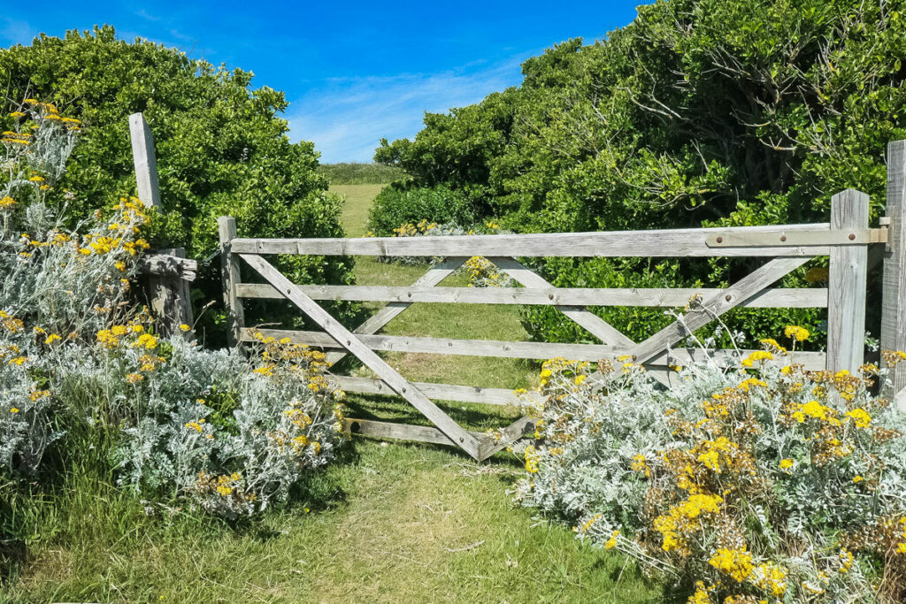 Tor in Cuckemere Haven